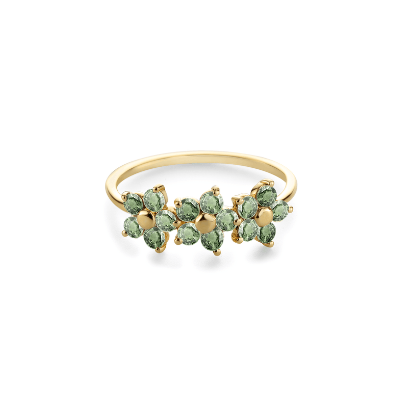 RING 'ALLERLIEFSTE' BLOOM MET LEAF GREEN