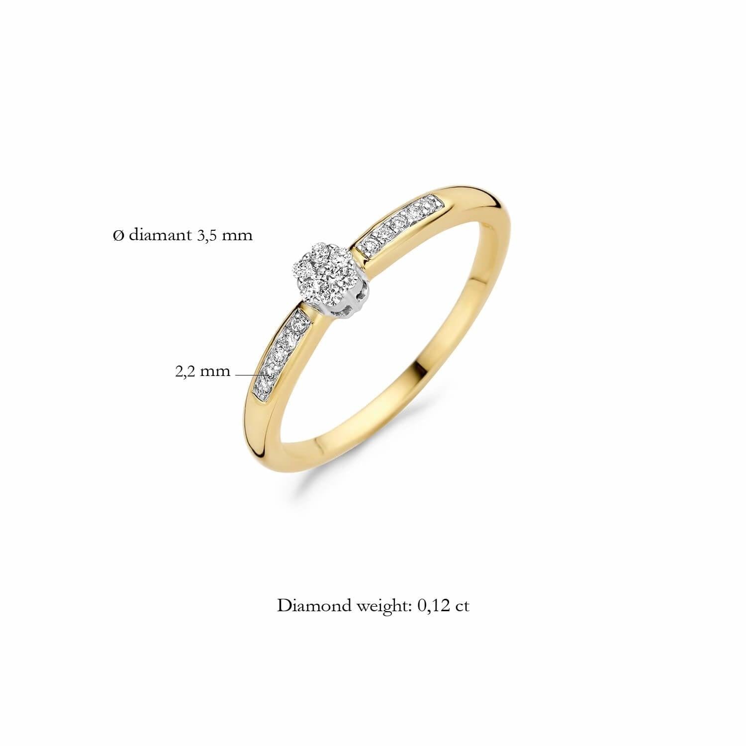 BLUSH DIAMONDS RING 1625BDI - 14 K GEELGOUD - Brunott Juwelier
